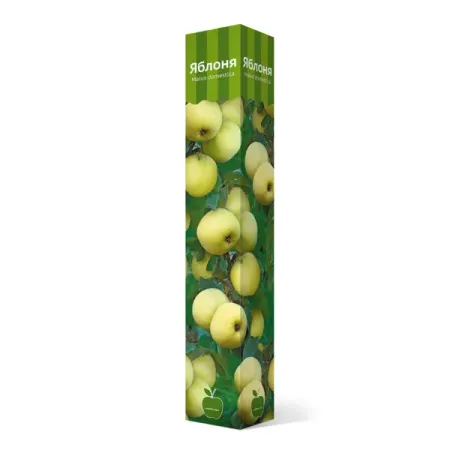 Яблоня Яблоня Папировка коробка h89 см
