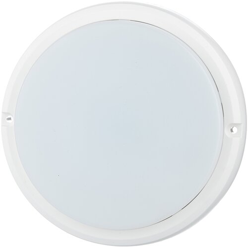 Настенно-потолочный светильник IEK ДПО 4002 (12Вт 4000K), 12 Вт, цвет арматуры: белый, цвет плафона: белый