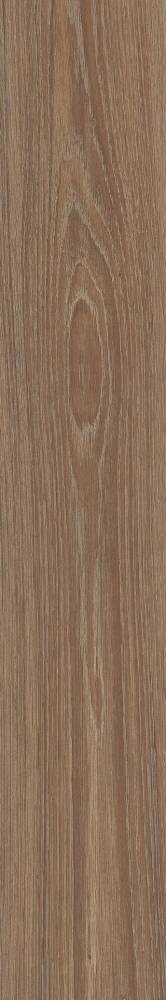 Керамогранит APE Triana RECT Canela 20х120