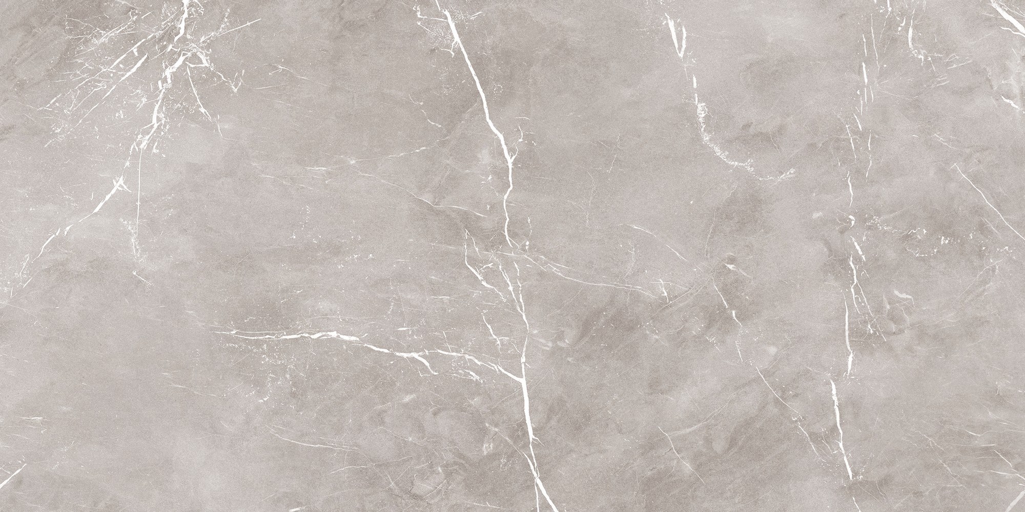 Керамогранит Ariana Ceramica Epoque Grey Lap 60x120