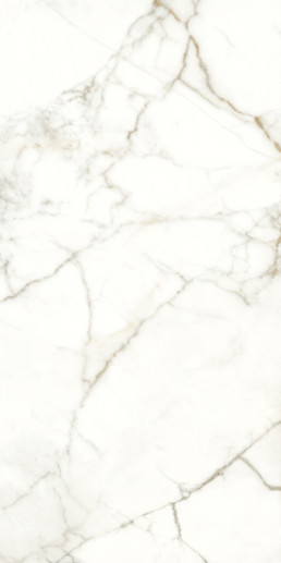Керамогранит Naxos Emotion Rhapsody Nat/Rett 60x120