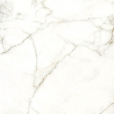 Керамогранит Naxos Emotion Nat/Rett 60x60