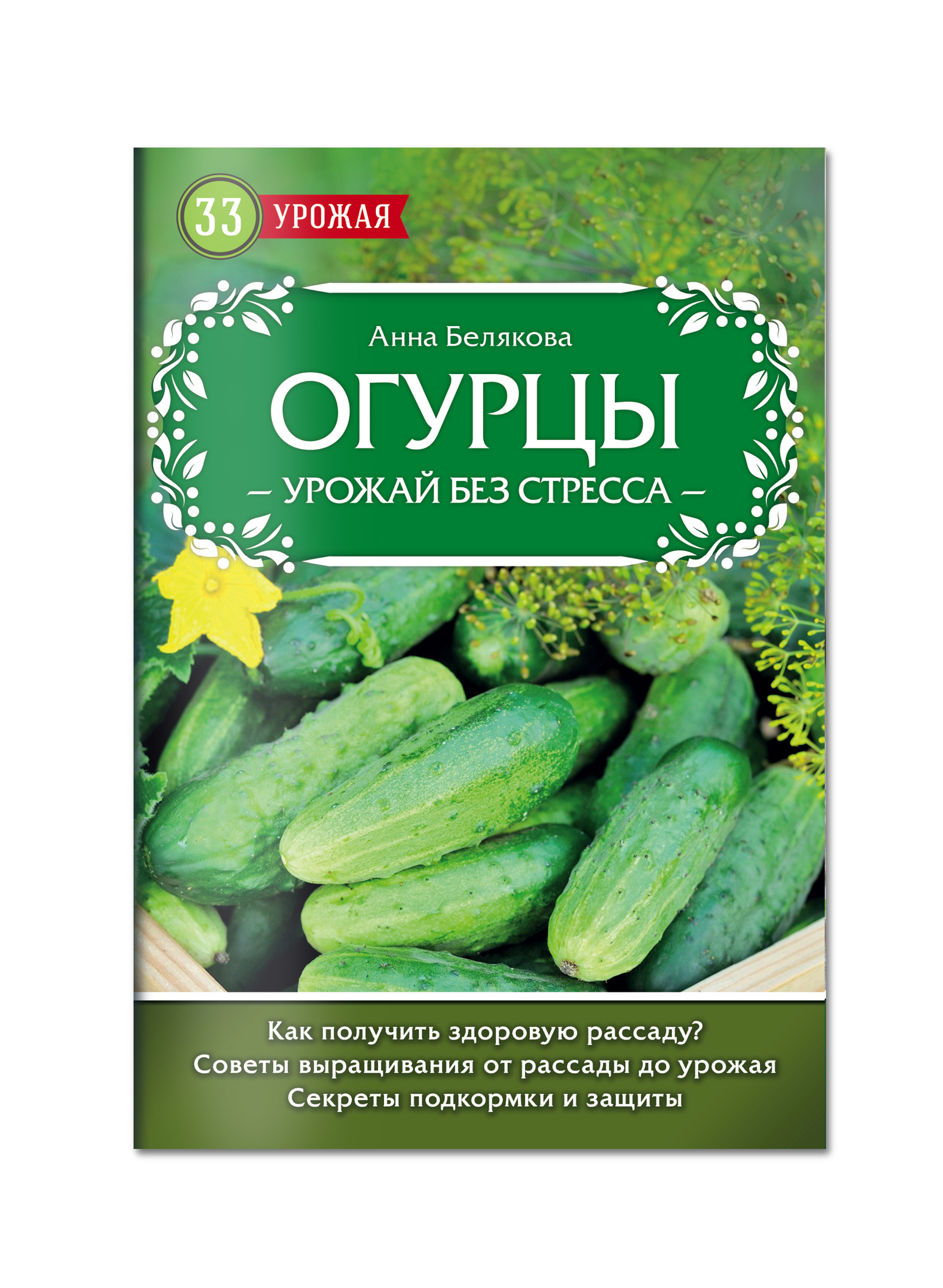 Огурцы. Урожай без стресса