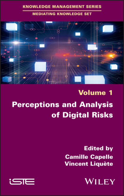 базы данных  ЛитРес Perceptions and Analysis of Digital Risks