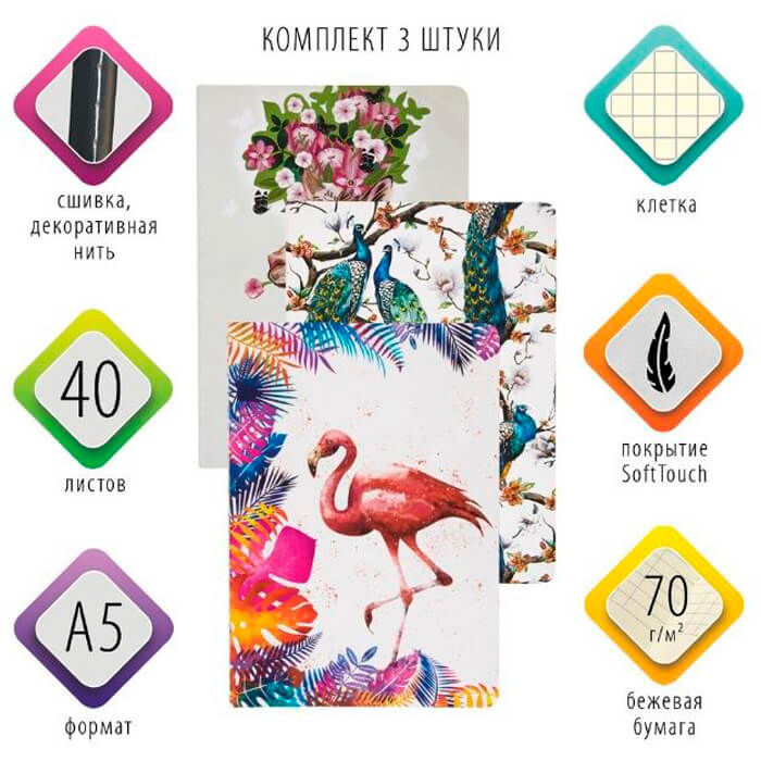   Тут Просто Набор тетрадей Brauberg 40л a5 саммер клетка 3шт 403793