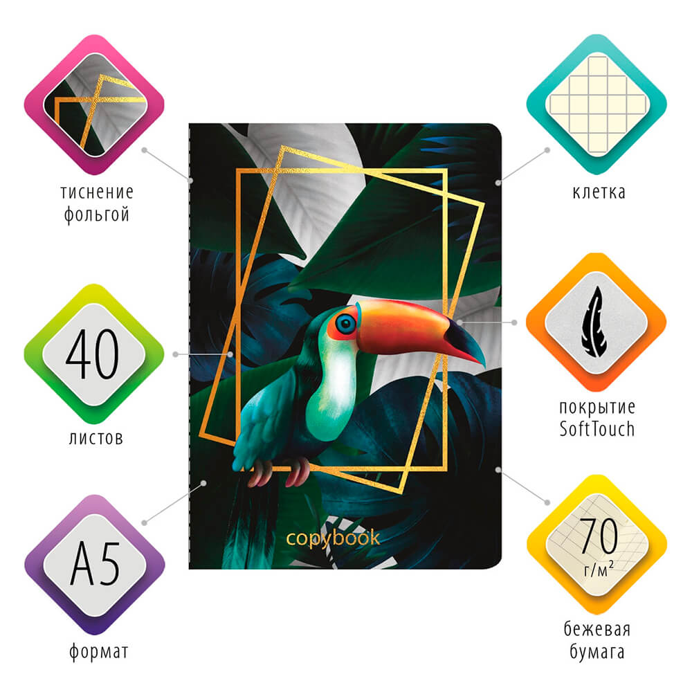  Тетрадь 40л клетка Brauberg тукан a5 403775