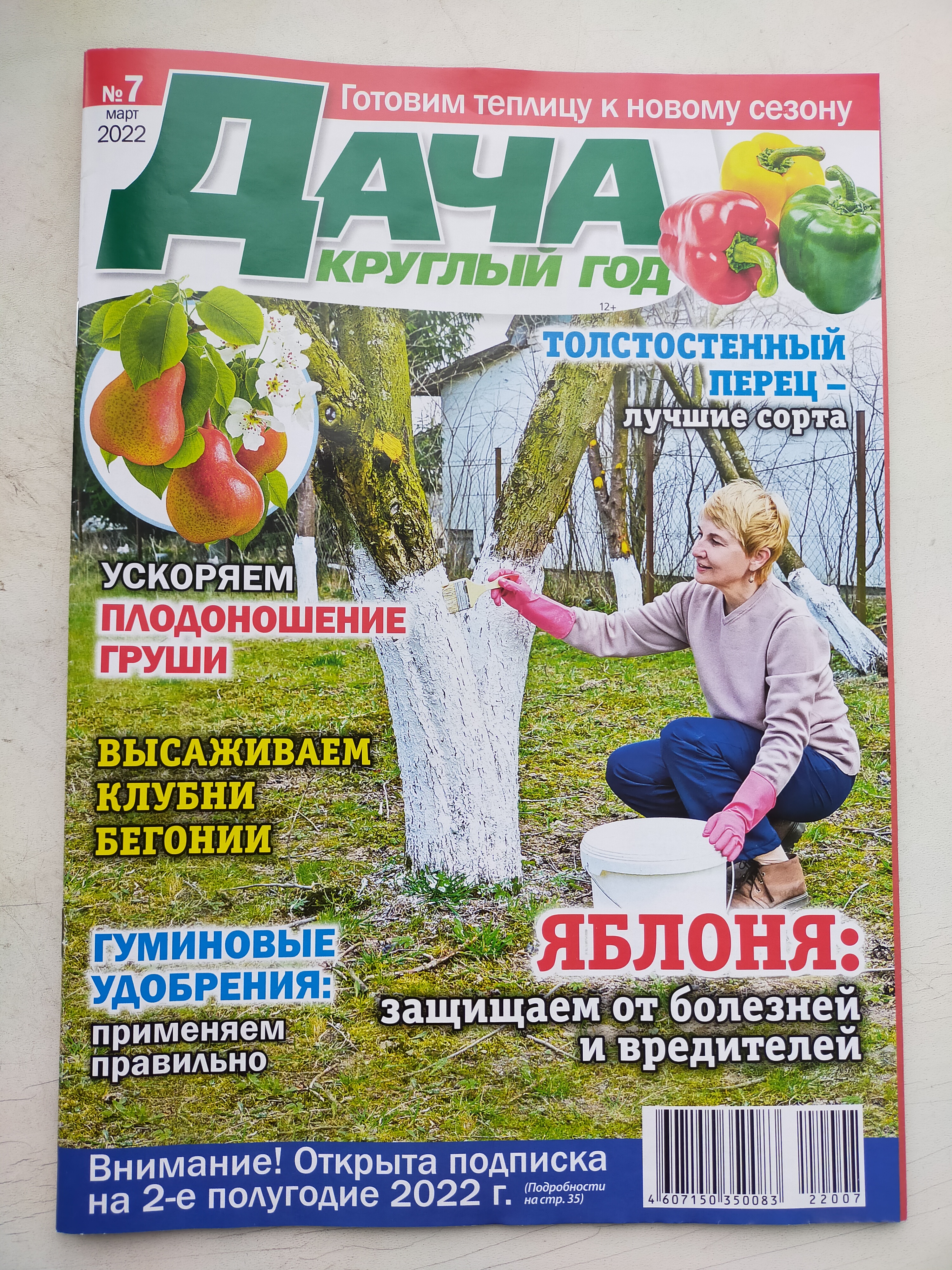 Журнал дача круглый год