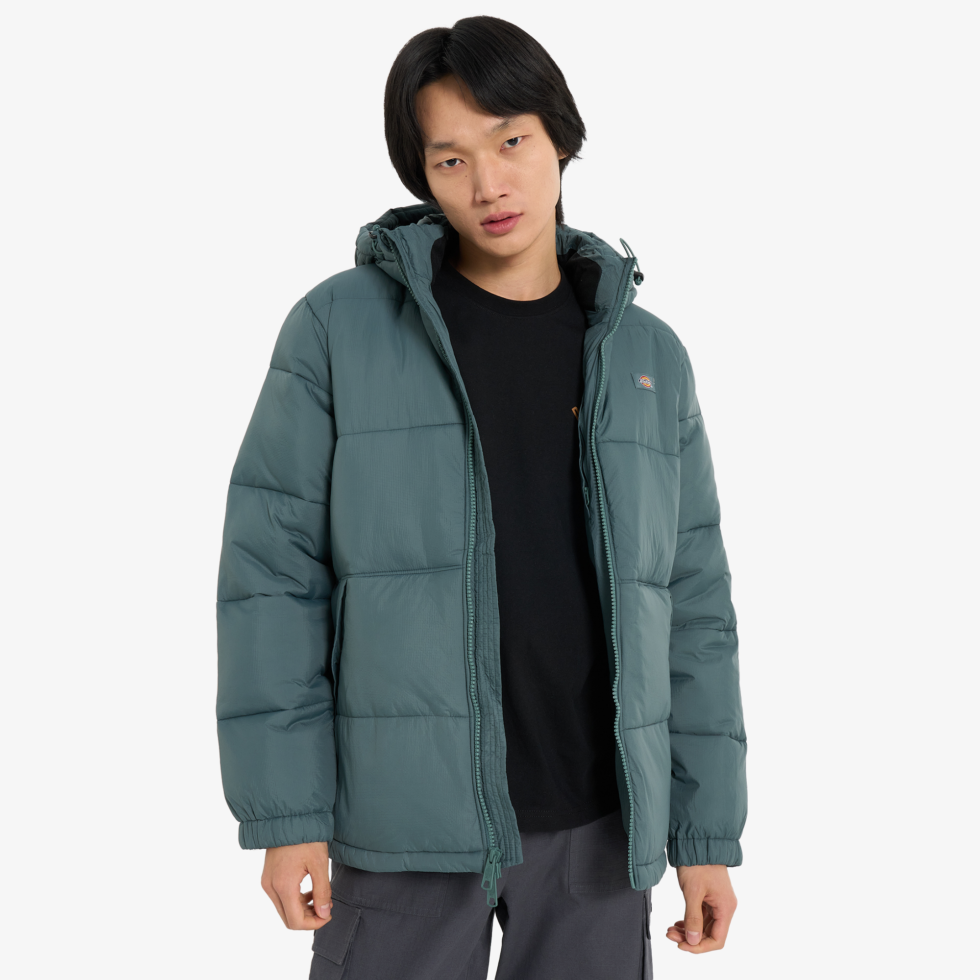 Пуховики Мужская куртка DICKIES Waldenburg, Зеленый