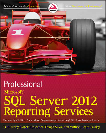 Базы данных  ЛитРес Professional Microsoft SQL Server 2012 Reporting Services
