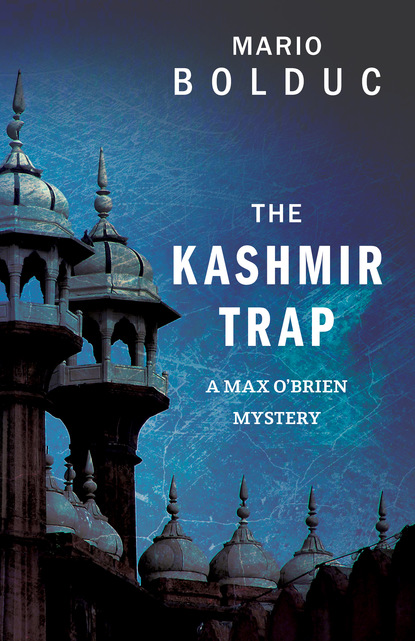 Криминальные боевики  ЛитРес The Kashmir Trap