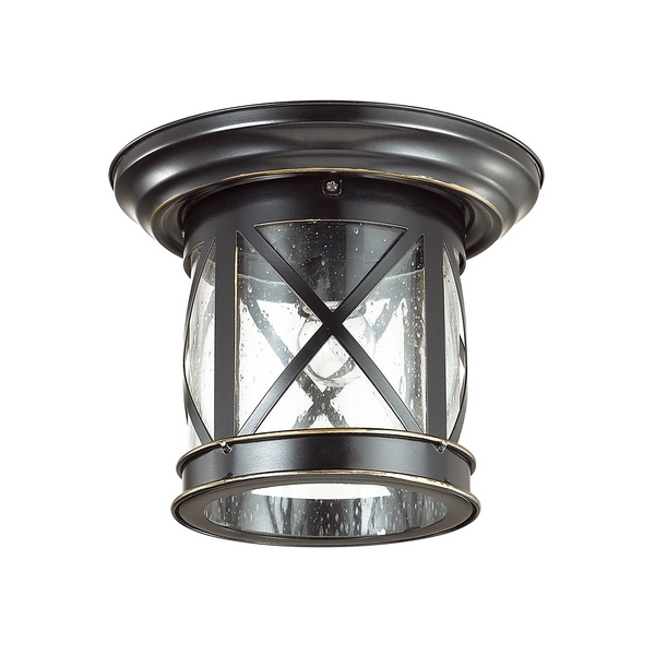  Потолочный светильник уличный Odeon Light Sation 4045/1C