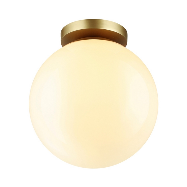  Потолочный светильник уличный светодиодный IP44 Odeon Light Bosco 4248/1C