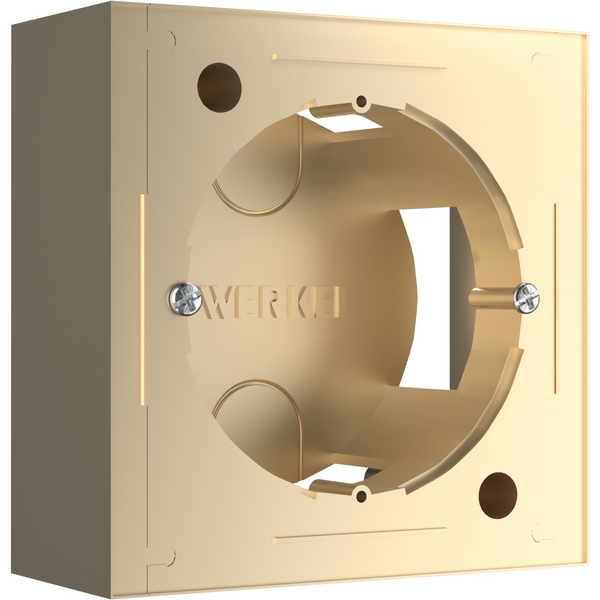 Коробка для накладного монтажа (шампань) Werkel W8000011 (a053529)