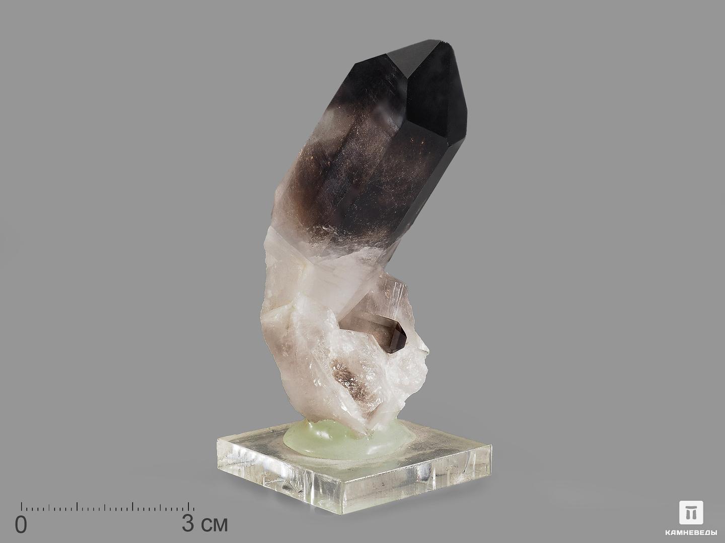 Дымчатый кварц (раухтопаз), кристалл 11х6х5 см
