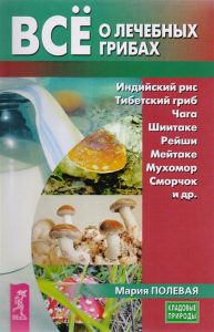 Все о лечебных грибах