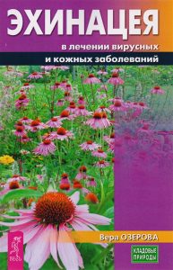 Магия растений Эхинацея в лечении вирусных и кожных заболеваний