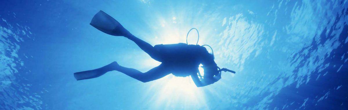 День рождения Подарочный сертификат Курс Open Water Diver Referral