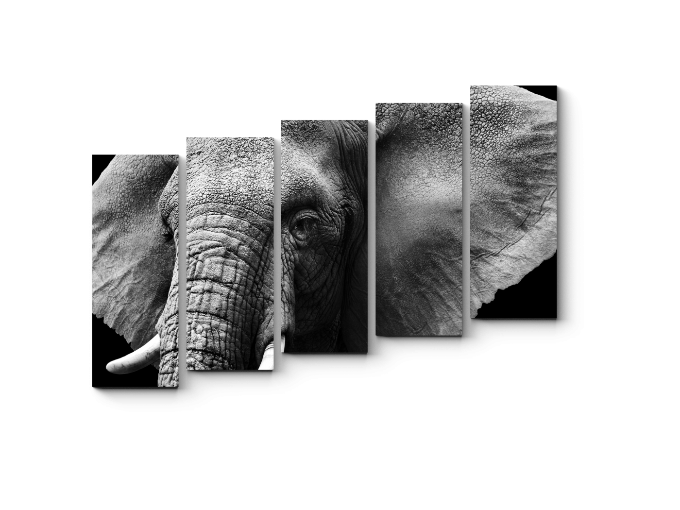 Слоны Модульная картина Picsis