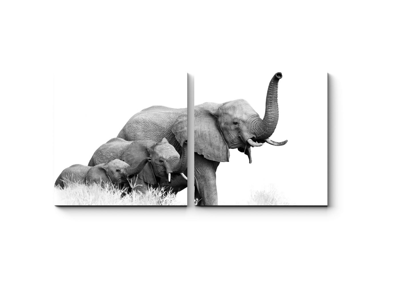 Слоны Модульная картина Picsis