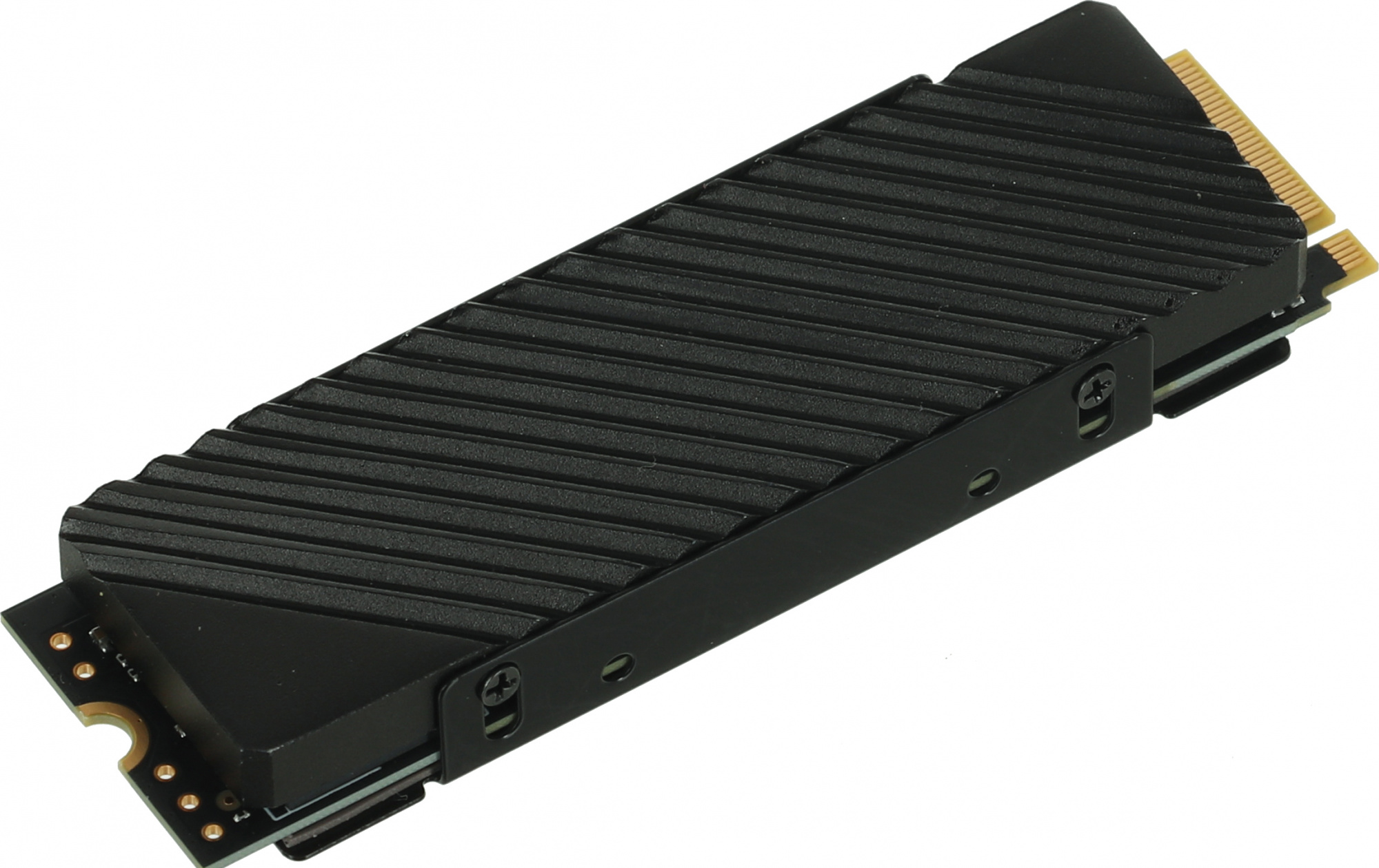 Твердотельный накопитель (SSD) Digma 1Tb, 2280, M.2, NVMe (DGST4001TG33T)