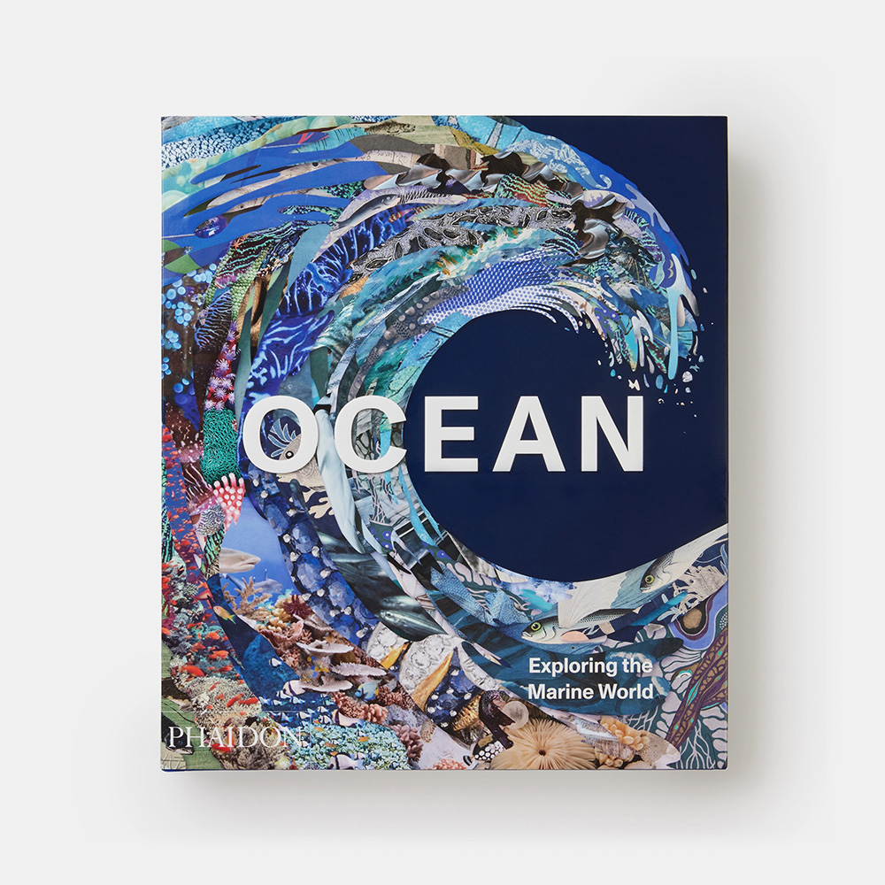 Ocean: Exploring the Marine World Книга