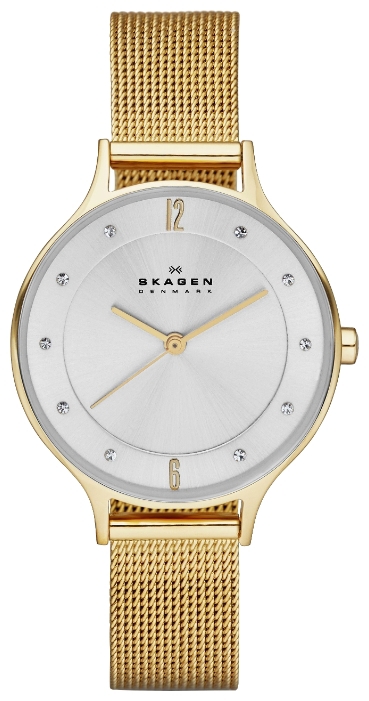 Skagen SKW2150 - женские наручные часы из коллекции Mesh