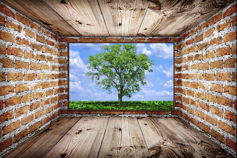 Вид из окна  Artwall Фотообои «Одинокий дуб», 90×60 см, обои