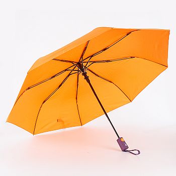 Зонты складные Rain Berry Зонт