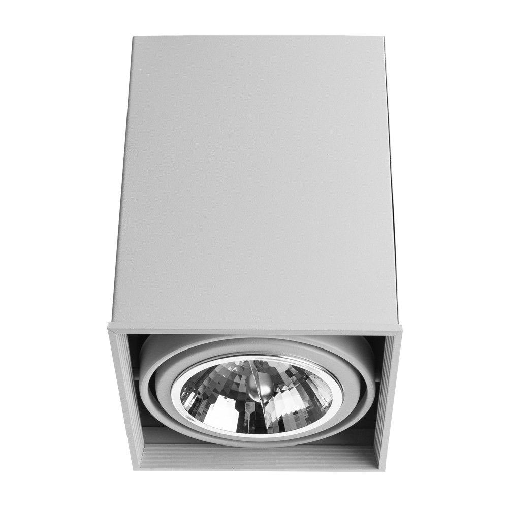 Накладные светильники Светильник потолочный Arte Lamp A5936PL-1WH