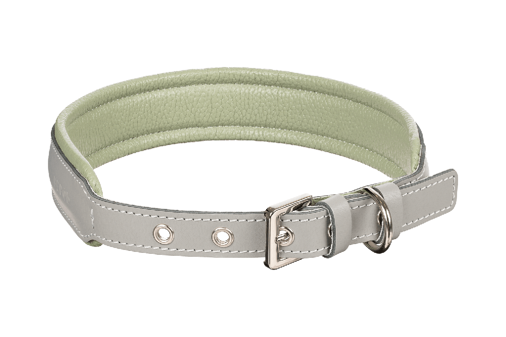 Werf Pets Кожаный ошейник Mint-Grey XL - Верфь