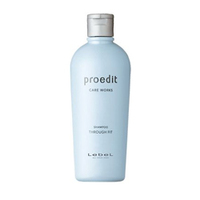 Lebel Proedit Care Works Through Fit Shampoo - Шампунь для прямых волос 300 мл