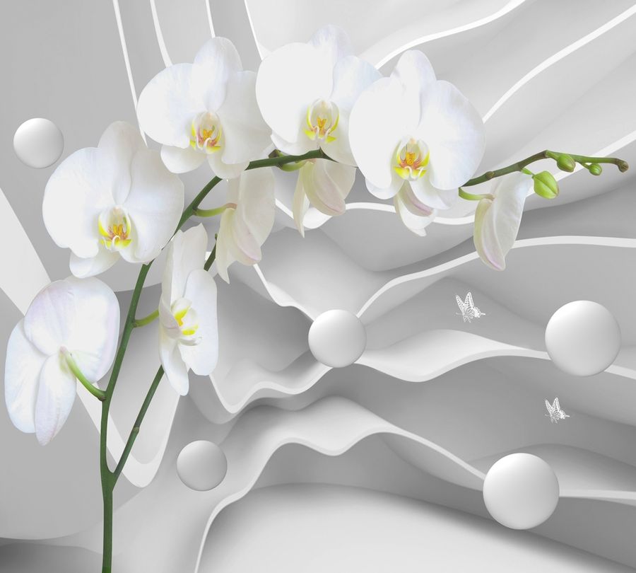 3D Фотообои Белая орхидея на объемном фоне 300x270
