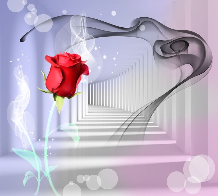 3D Фотообои Красная роза в тоннеле 300x270