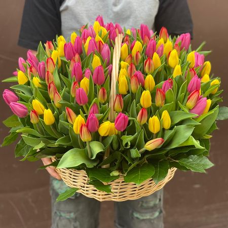   Flor2u Корзина из 201 тюльпана