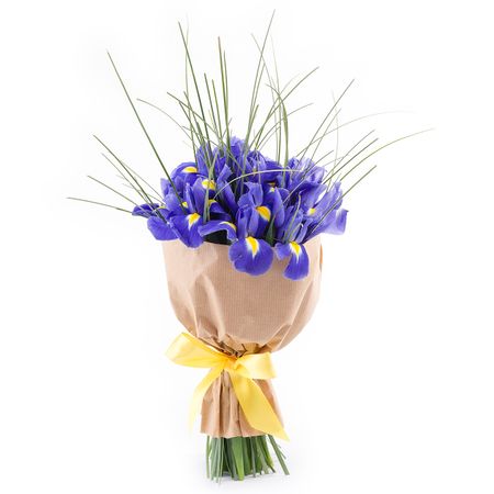 Специальное предложение  Flor2u Букет из 11 ирисов с берграссом