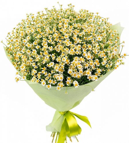 Ромашки  Flor2u Букет из 25 ромашек