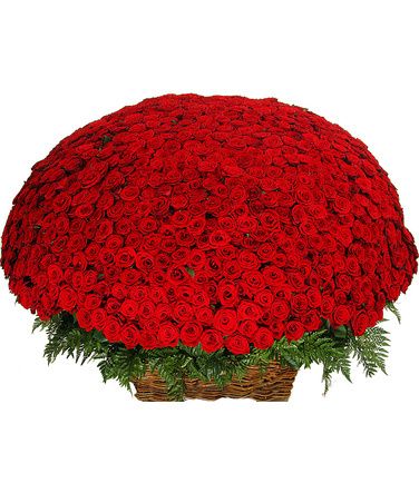 Корзина из 1001 розы