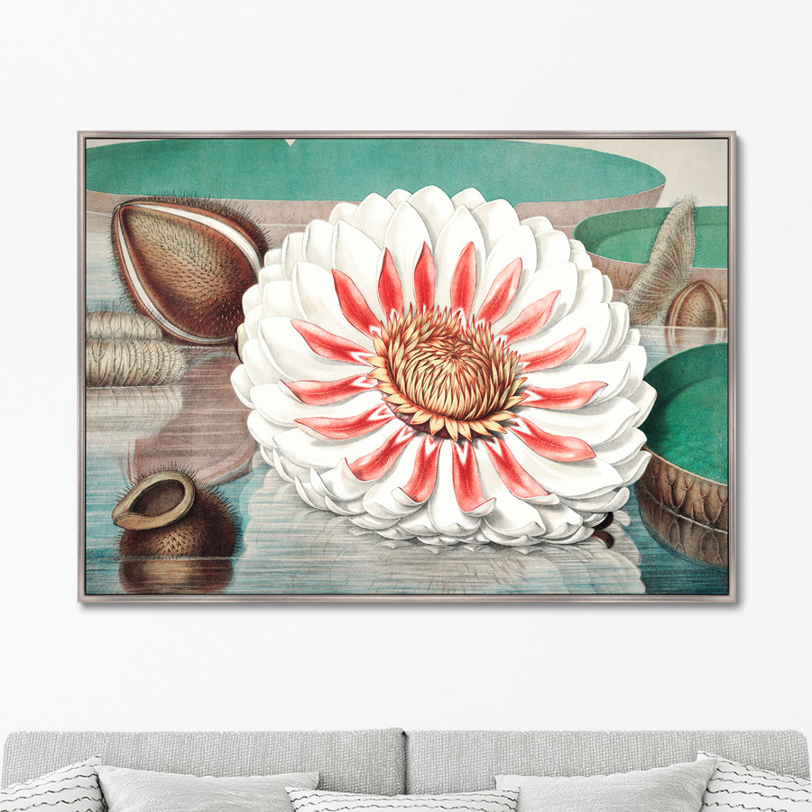 Репродукция картины на холсте a gigantic water lily in bloom 1870г. (картины в квартиру) мультиколор 105x75 см.