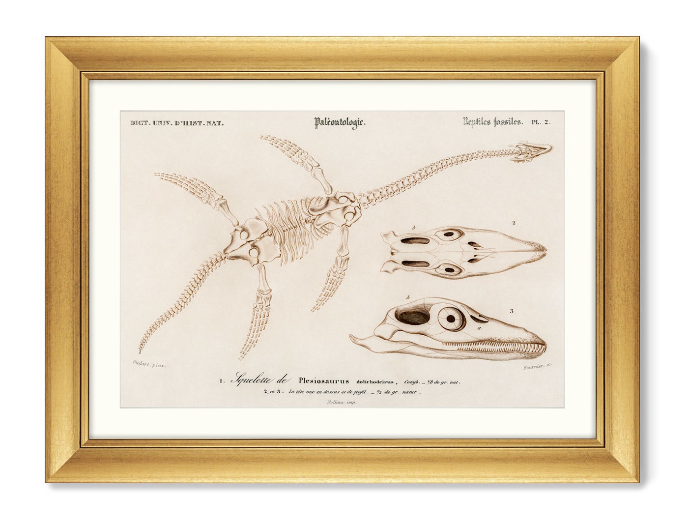 Репродукция картины в раме plesiosaurus, 1849г. (картины в квартиру) мультиколор 80x60 см.