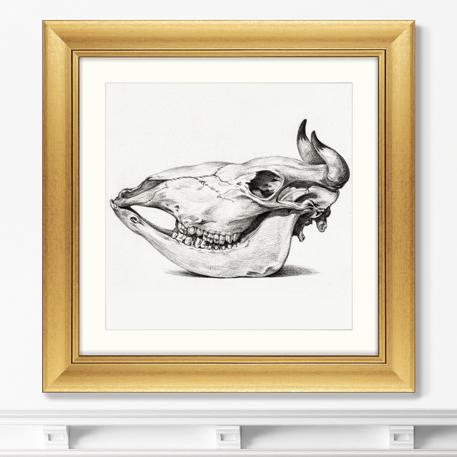 Репродукция картины в раме skull №i, 1816г. (картины в квартиру) мультиколор 60x60 см.