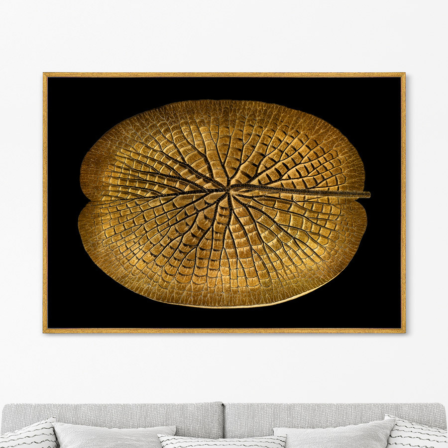 Репродукция картины на холсте leaf of a gigantic water lily in a gold, 1870г. (картины в квартиру) черный 105x75 см.