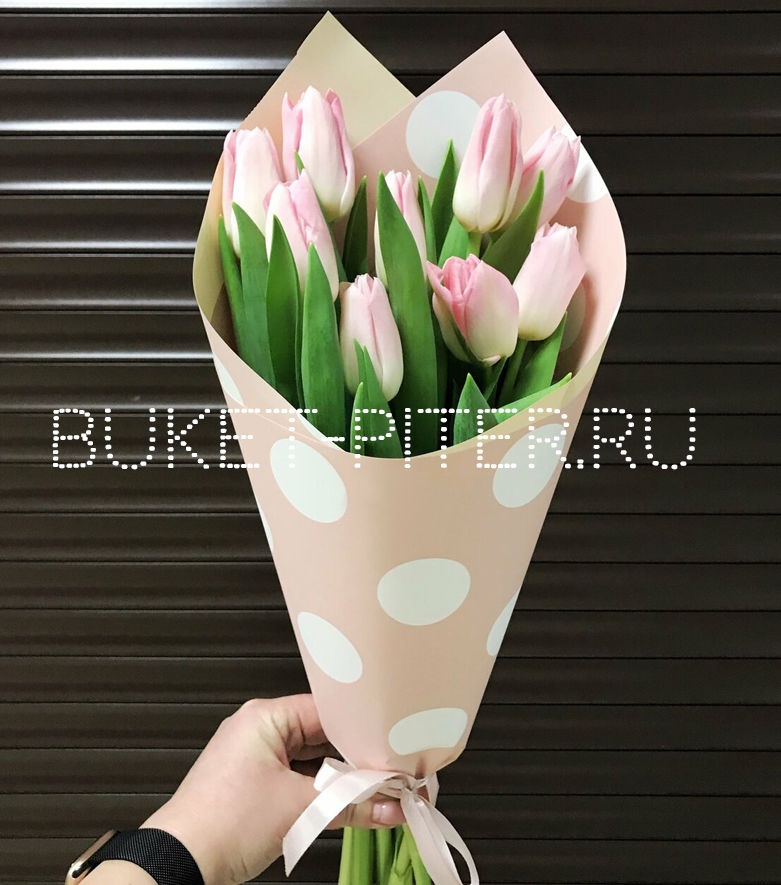 Любимой  Букет СПБ Букет из Розовых Тюльпанов в Нежно-Розовой упаковке в Горошек