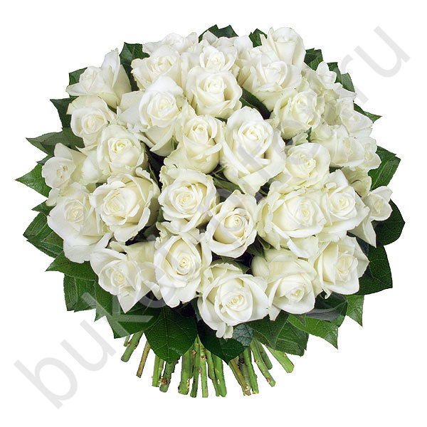 Белые розы Букет из 35 белых роз