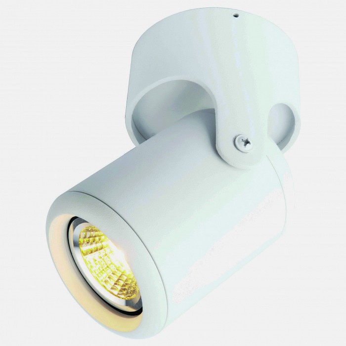 Светильник на штанге Arte Lamp