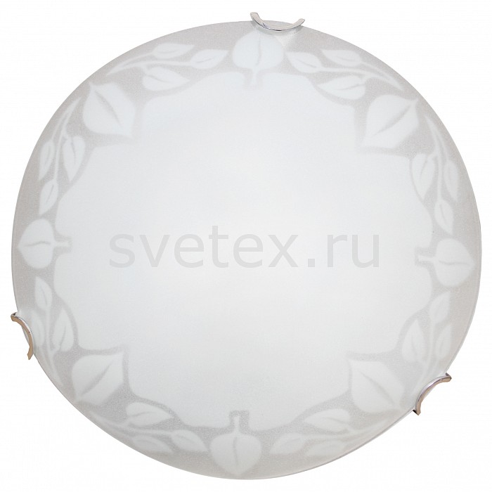Накладной светильник Arte Lamp