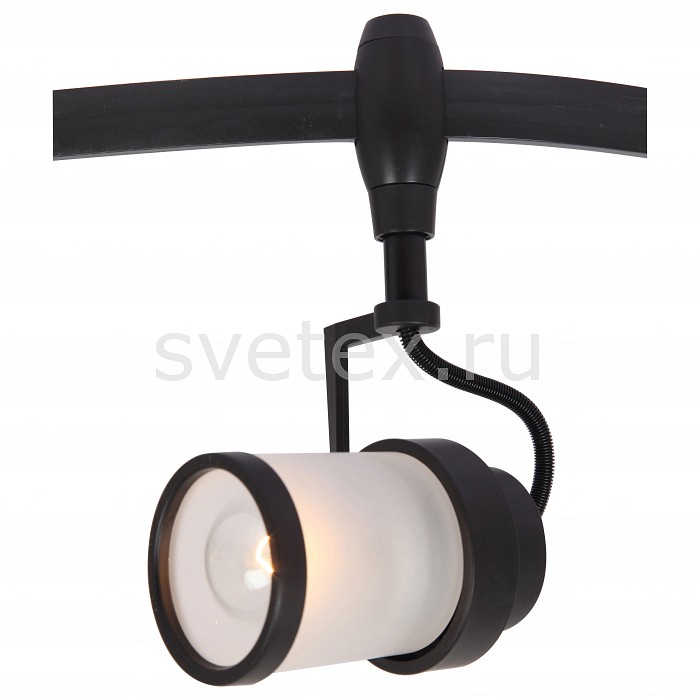 Светильники на штанге Светильник на штанге Arte Lamp
