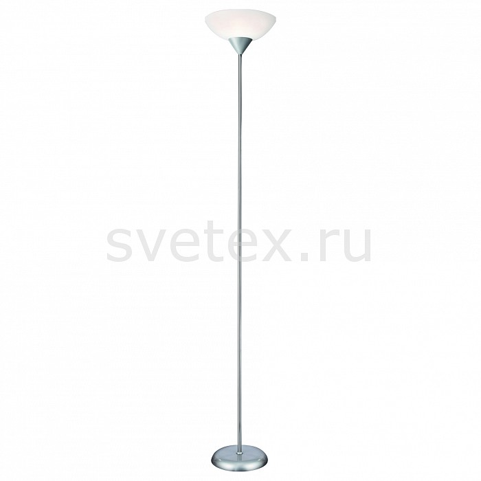 Полимерный плафон Торшер Arte Lamp