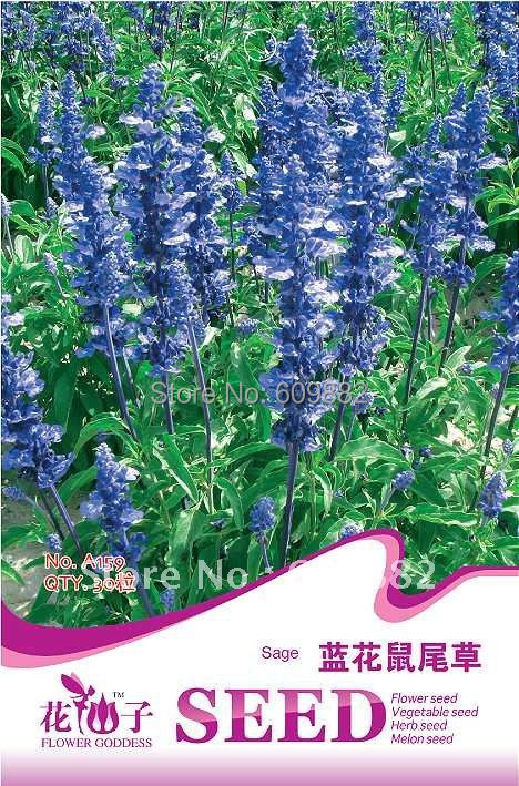 Карликовое дерево FLOWER GODDESS 3 * 150 A159