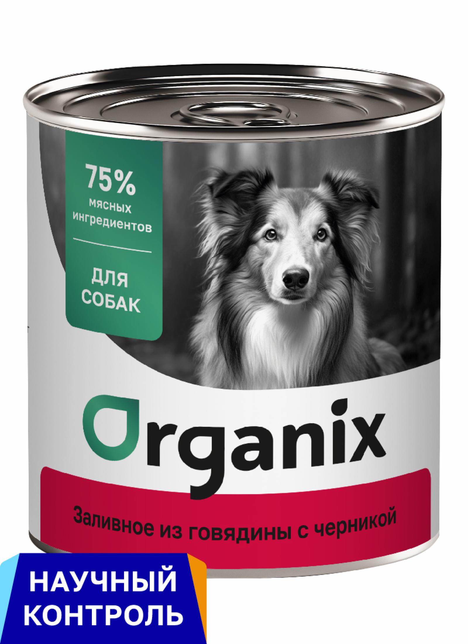 Organix консервы для собак Заливное из говядины с черникой (100 г)