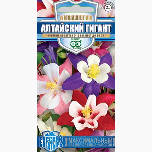Аквилегия Алтайский гигант Гавриш